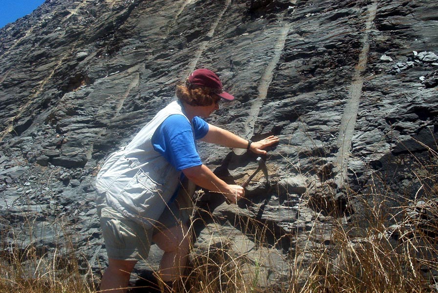 hunting fossils at site