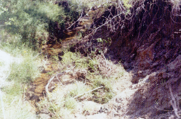 side stream in gully