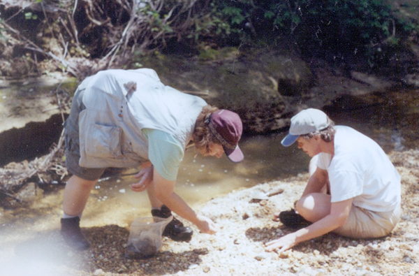 collecting fossils by creek