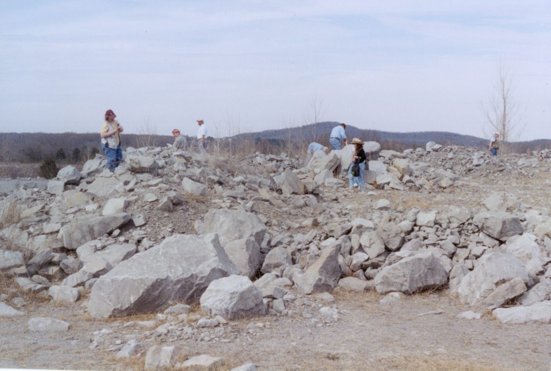 collecting fossils in quarry