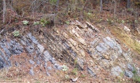 tilted rock layers