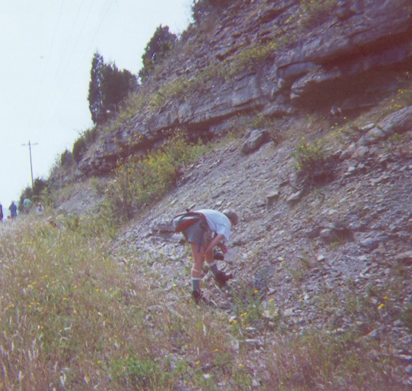 hunting fossils on roadcut