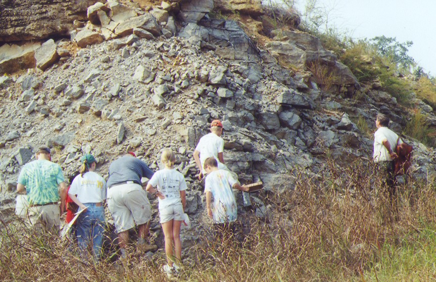 hunting fossils in quarry