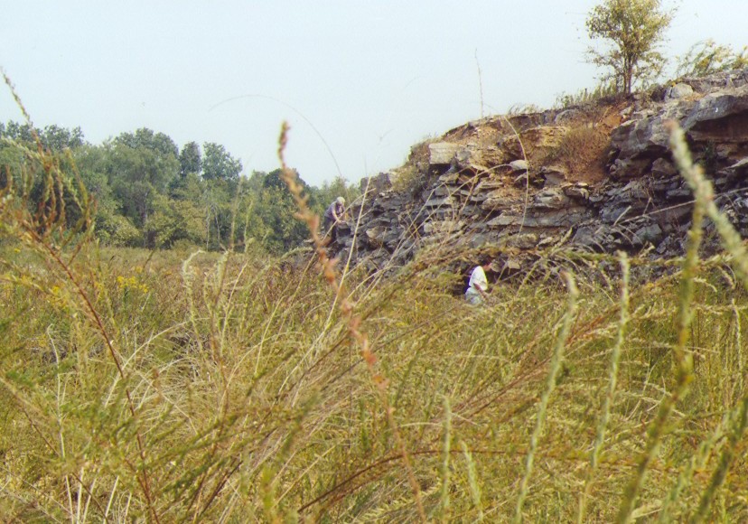 hunting fossils in quarry