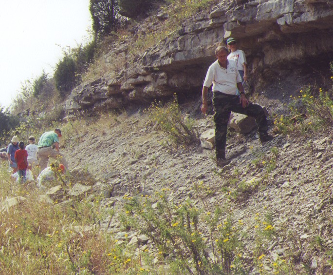 hunting fossils on roadcut