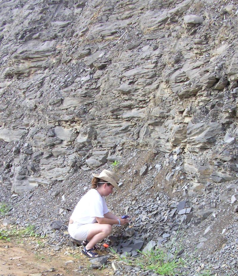 hunting fossils in road cut