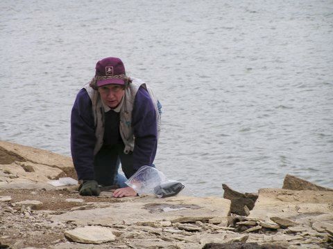 hunting fossils by lake