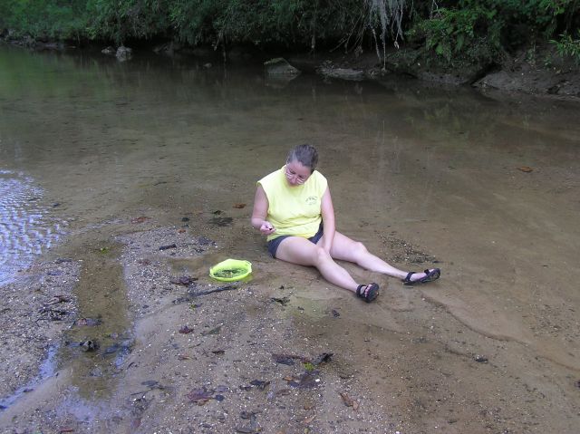 hunting fossils in creek