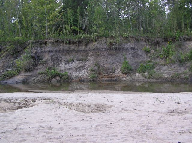 geologic layers in creek bank