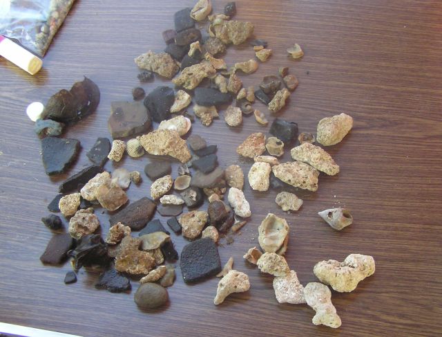 fossil coquina and pottery shards