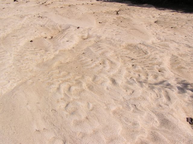 wave and wind patterns in sand