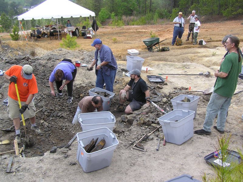 volunteers at fossil dig
