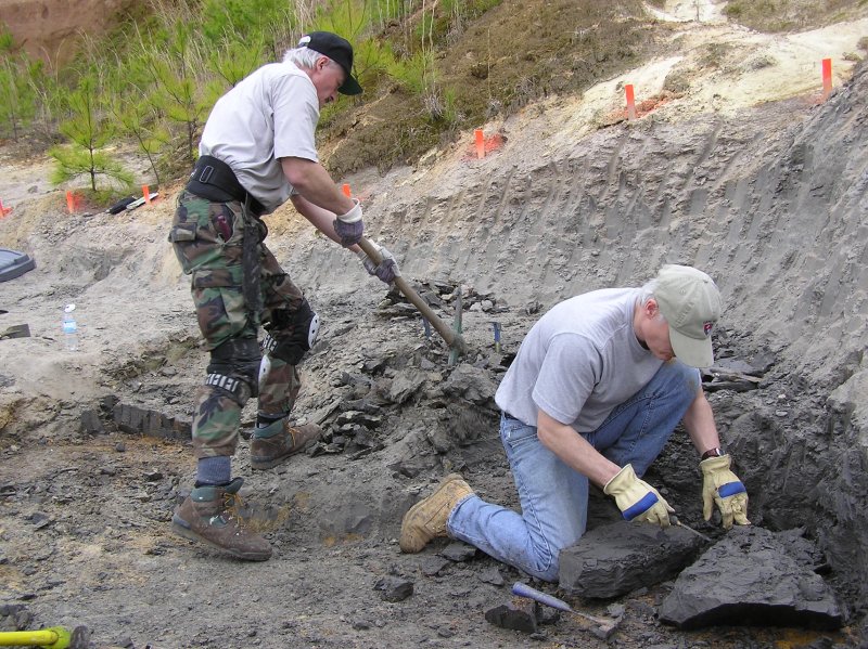 excavating at fossil site