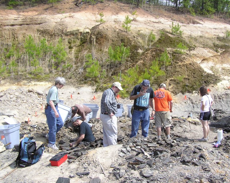 volunteers and instructors at fossil dig