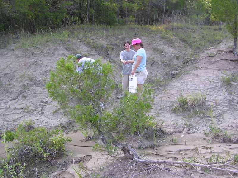hunting fossils in gully