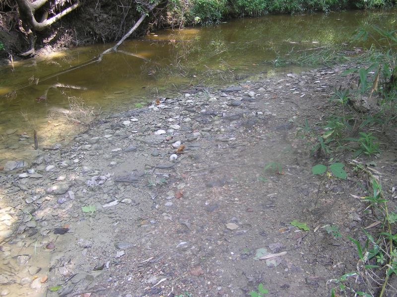 creek with fossils