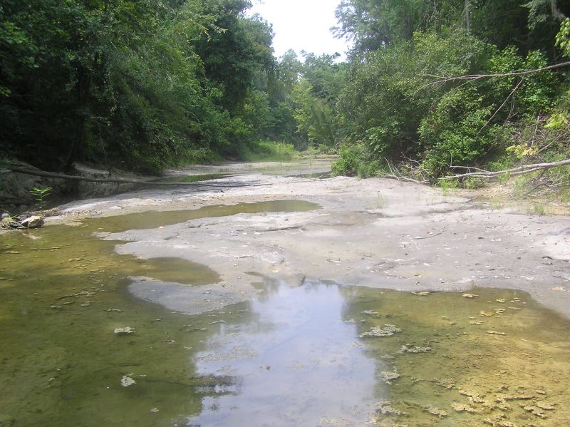 creek where we hunt fossils