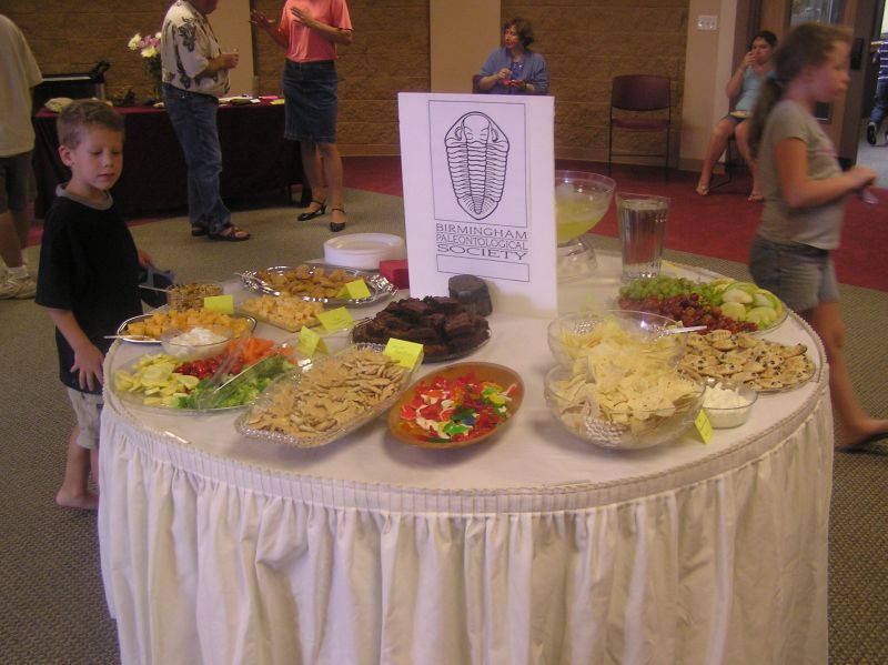 food table for fossil exhibit