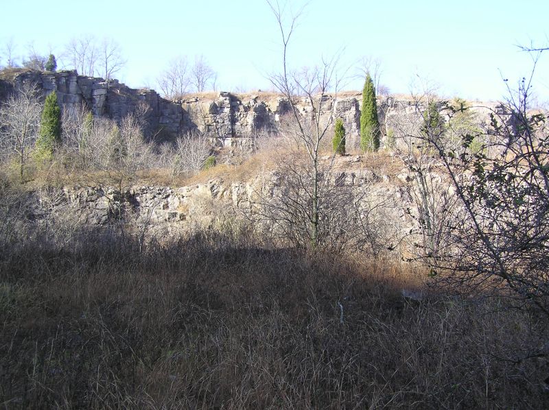 bluff walls of quarry where fossils are found