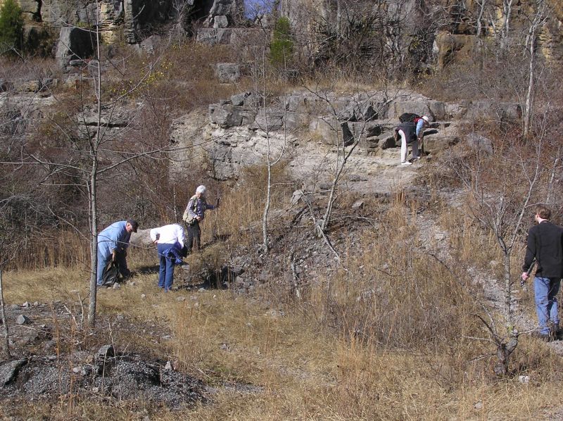 searching for fossils in the quarry