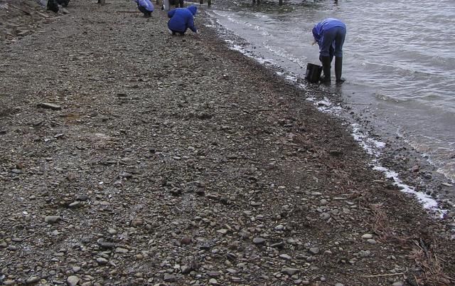 collecting fossils in gravel by lake