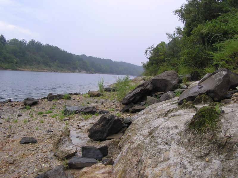 view of the shoreline and fossil rocks