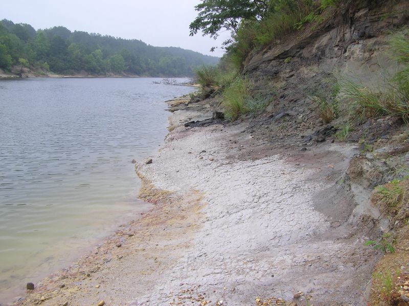 shoreline where we hunted for fossils