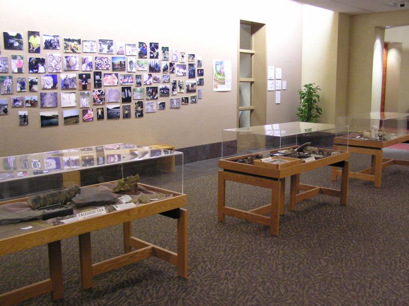 Library exhibit cases and collage