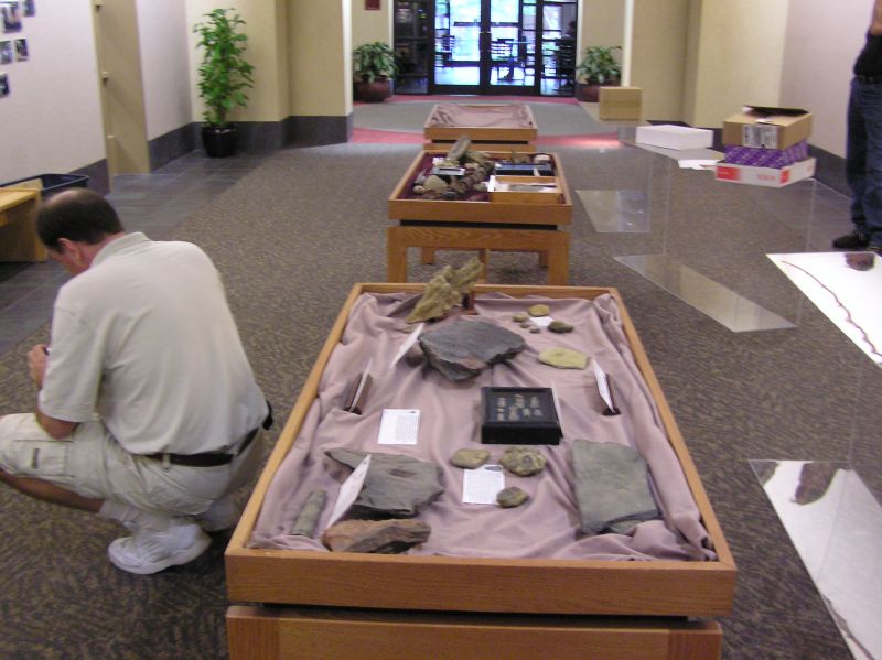 setting up the fossil exhibit cases