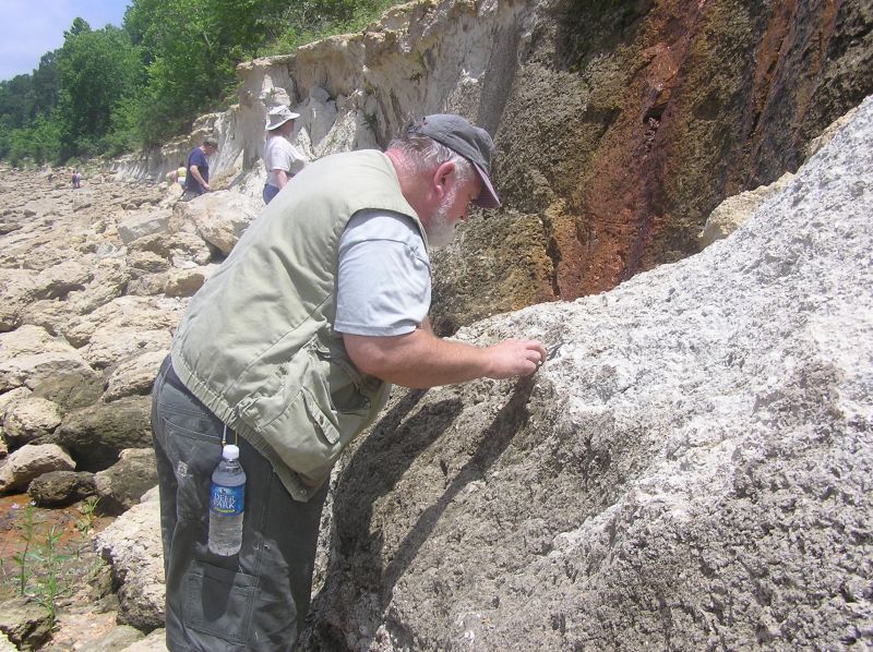 Greg searching for fossils at site