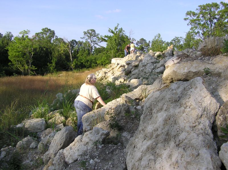 Martha searching for fossil nautiloids in rock pile