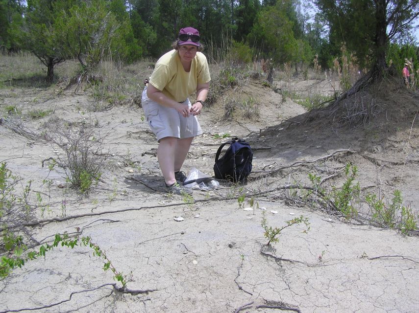 Claire hunting fossils in gully