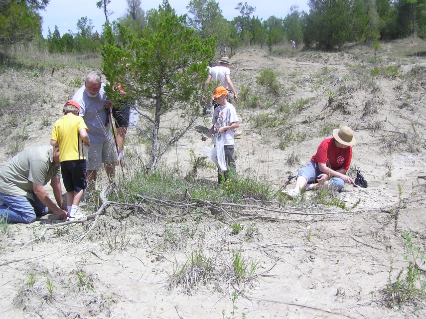 hunting fossils in gully