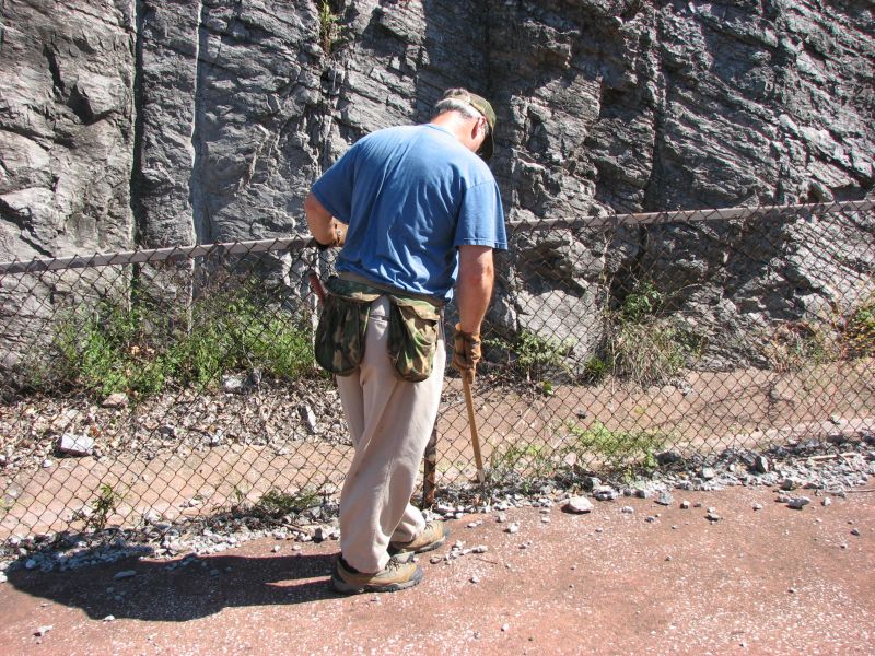 special tool for collecting fossils at roadcut