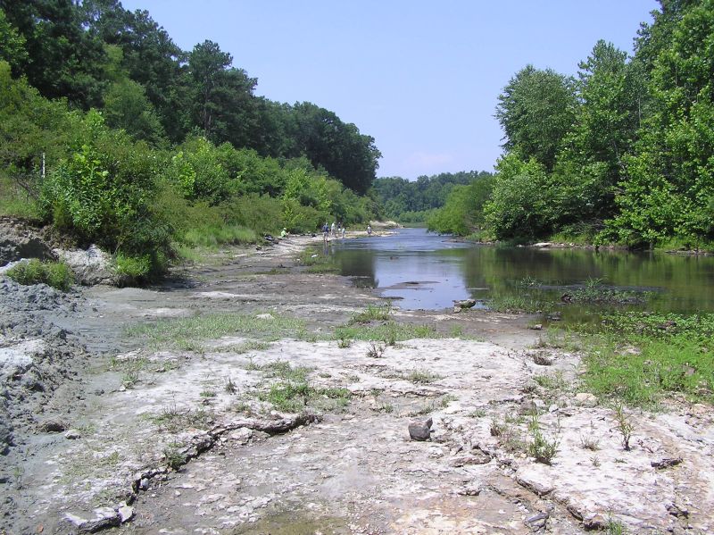 riverbank fossil collecting site