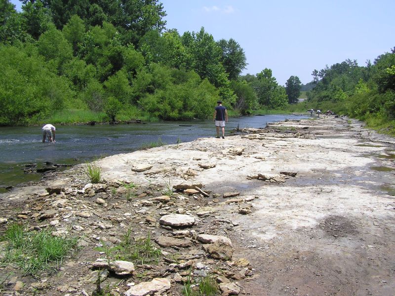 collecting fossils in river