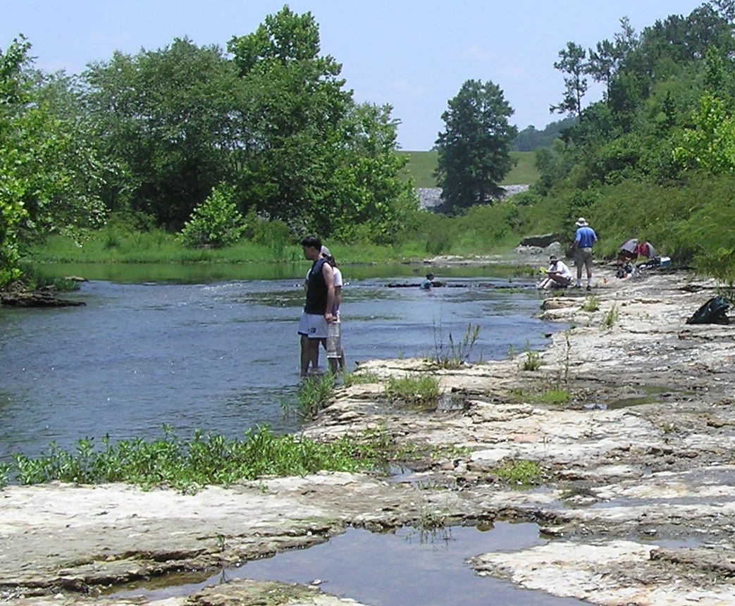 collecting fossils in river