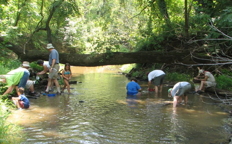 collecting fossils in creek with screens