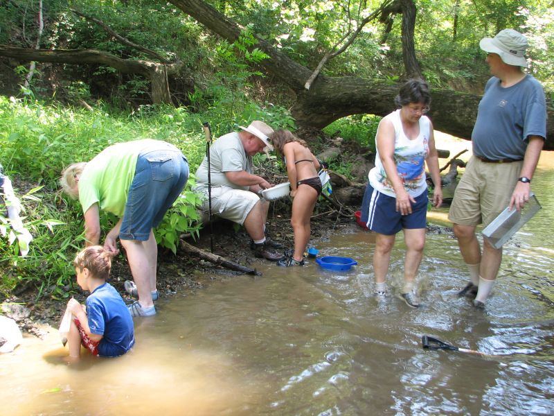 collecting fossils in creek