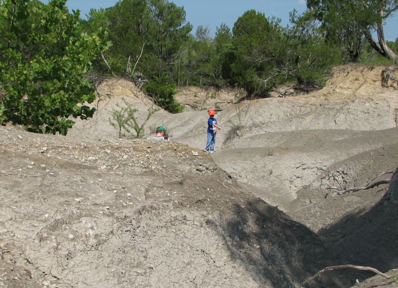 collecting fossils in chalk gully