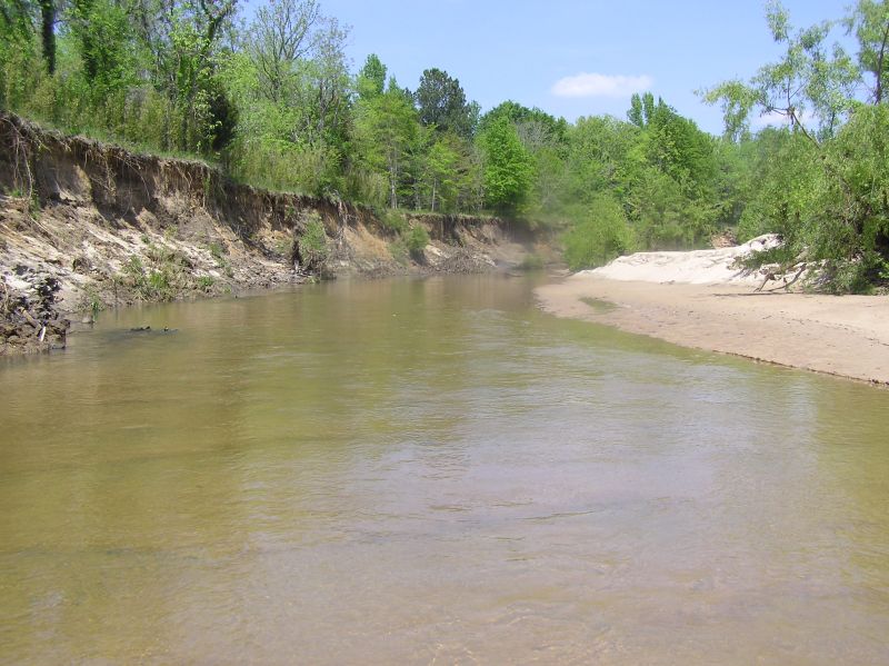 creek where fossils are found