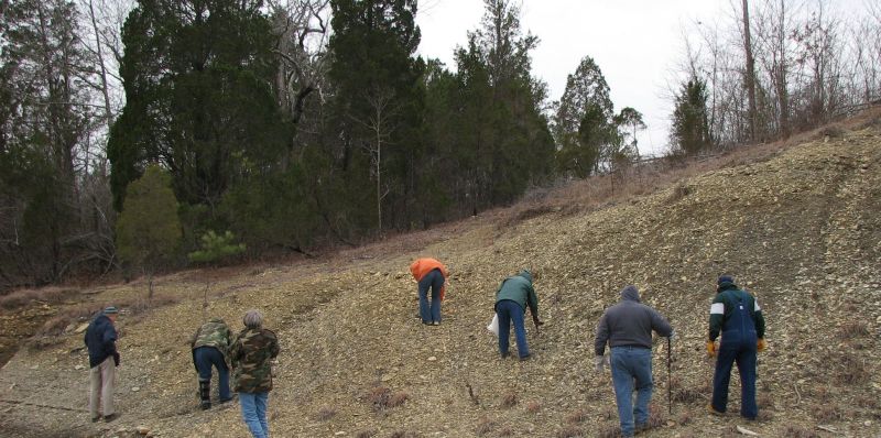 hunting fossils on hillside