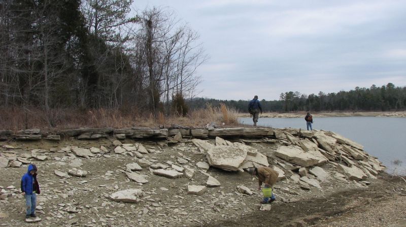 hunting fossils on lakeshore