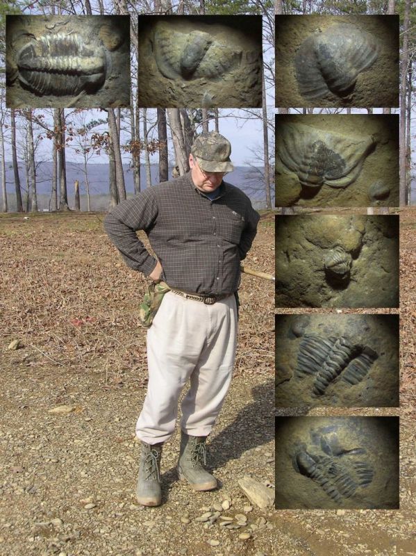 Bill and micro photos of fossil trilobites