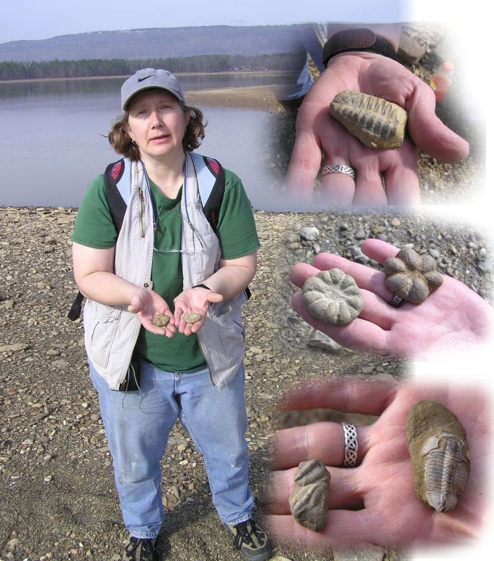 Claire and her fossil trilobites, brooksella