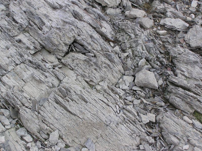 shale layers containing fossil trilobites