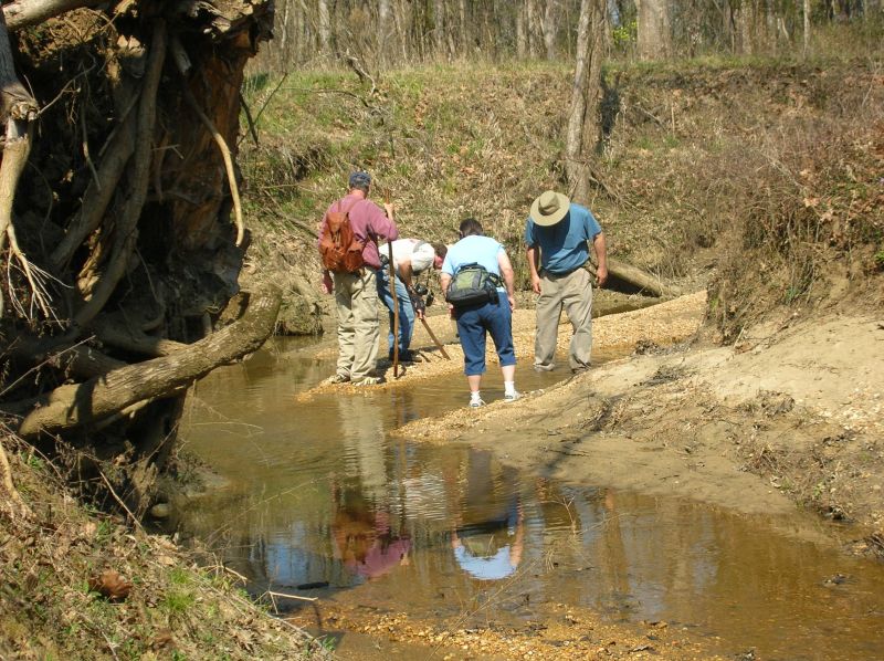 searching for fossils in creek
