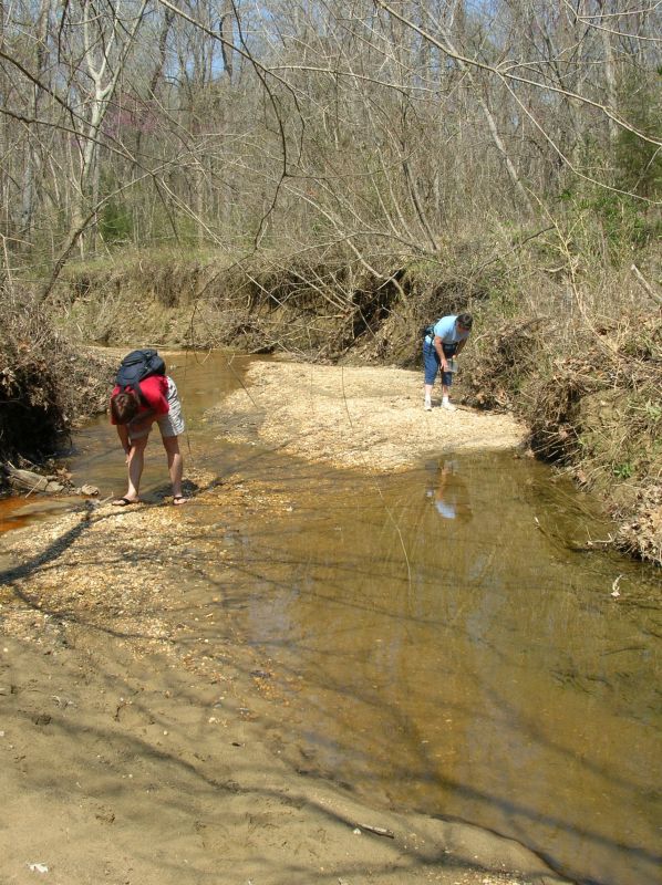 searching for fossils in creek