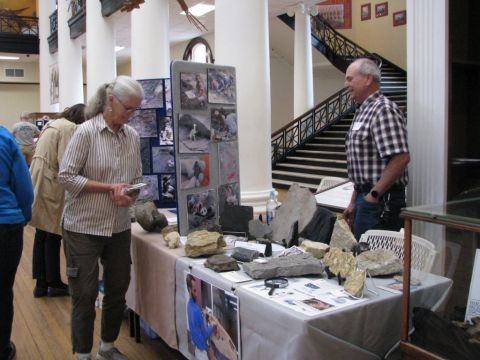 BPS exhibit table