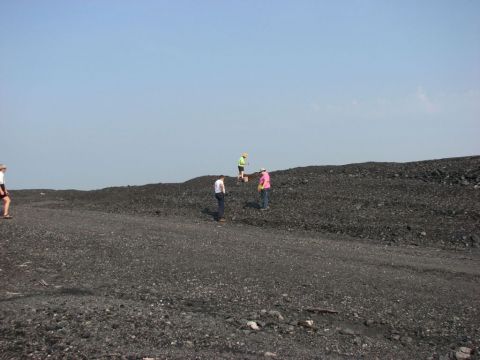 collecting fossils in spoil piles
